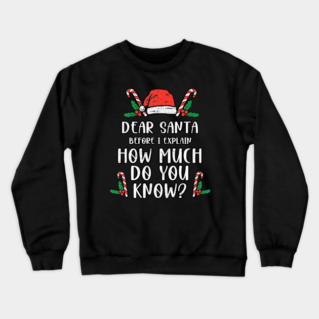 Dear Santa I Can Explain Funny Christmas Pajama Adults Kids Crewneck Sweatshirt by _So who go sayit_